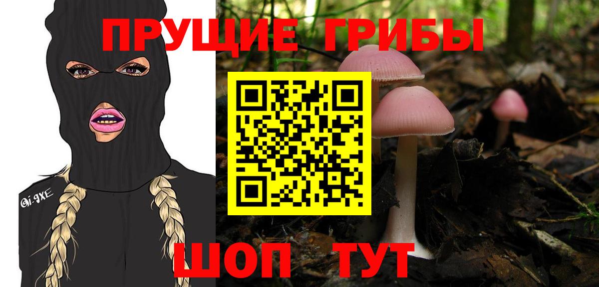 Златоуст  Галлюциногенные грибы ЛСД  Вход с VPN 