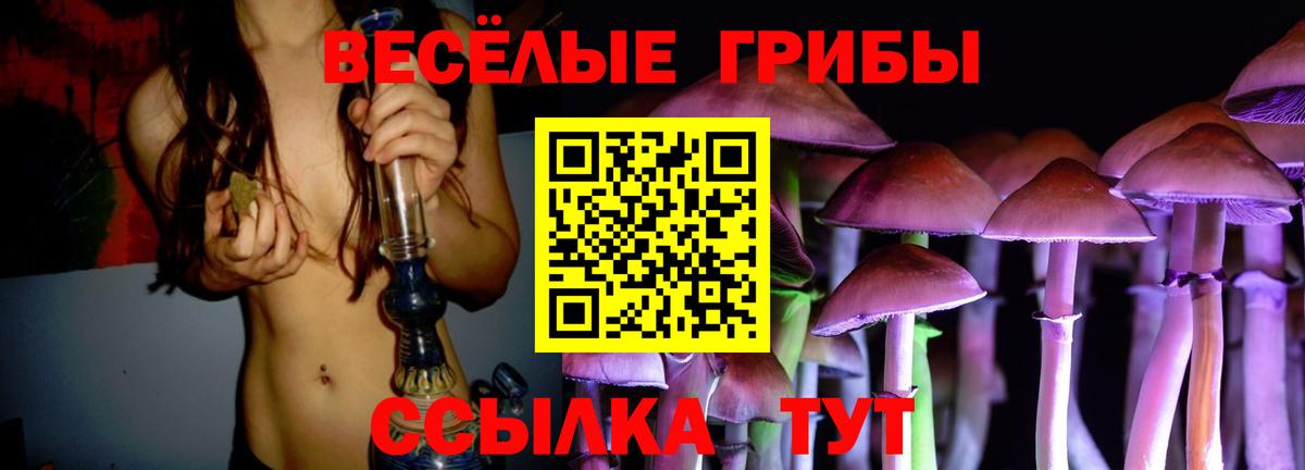 Псилоцибиновые грибы мицелий Златоуст